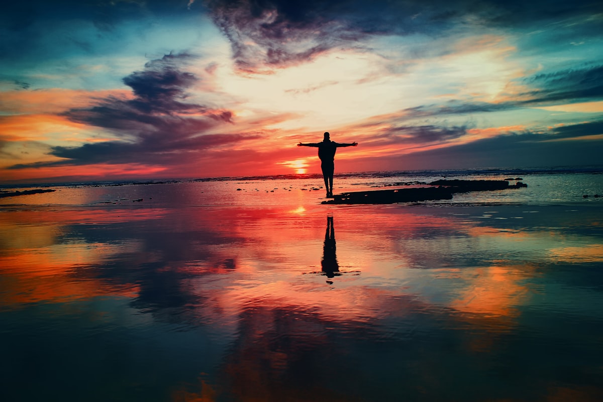 A person standing alone in an open meadow at dawn, facing the horizon as the light changes